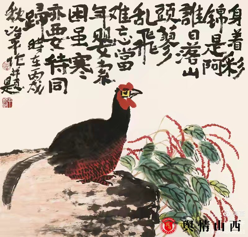 图片暂时无法显示