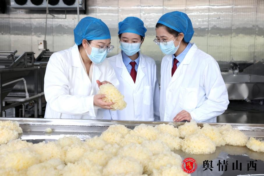 图片暂时无法显示