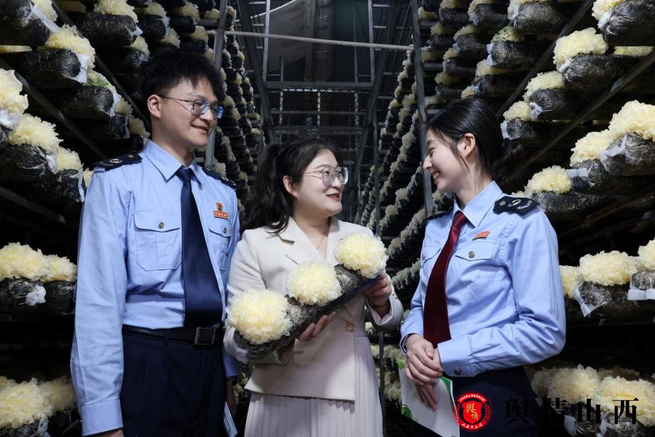 图片暂时无法显示