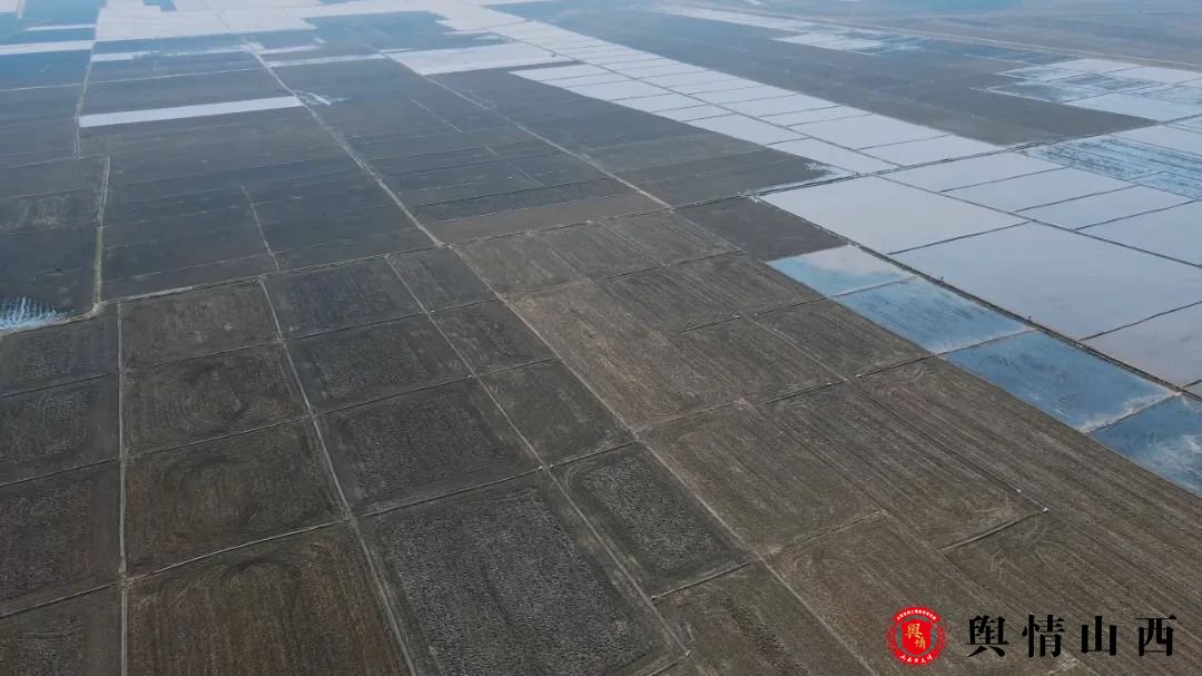 20240506五常水稻基地.mp4_20250423_104359.211(1).jpg