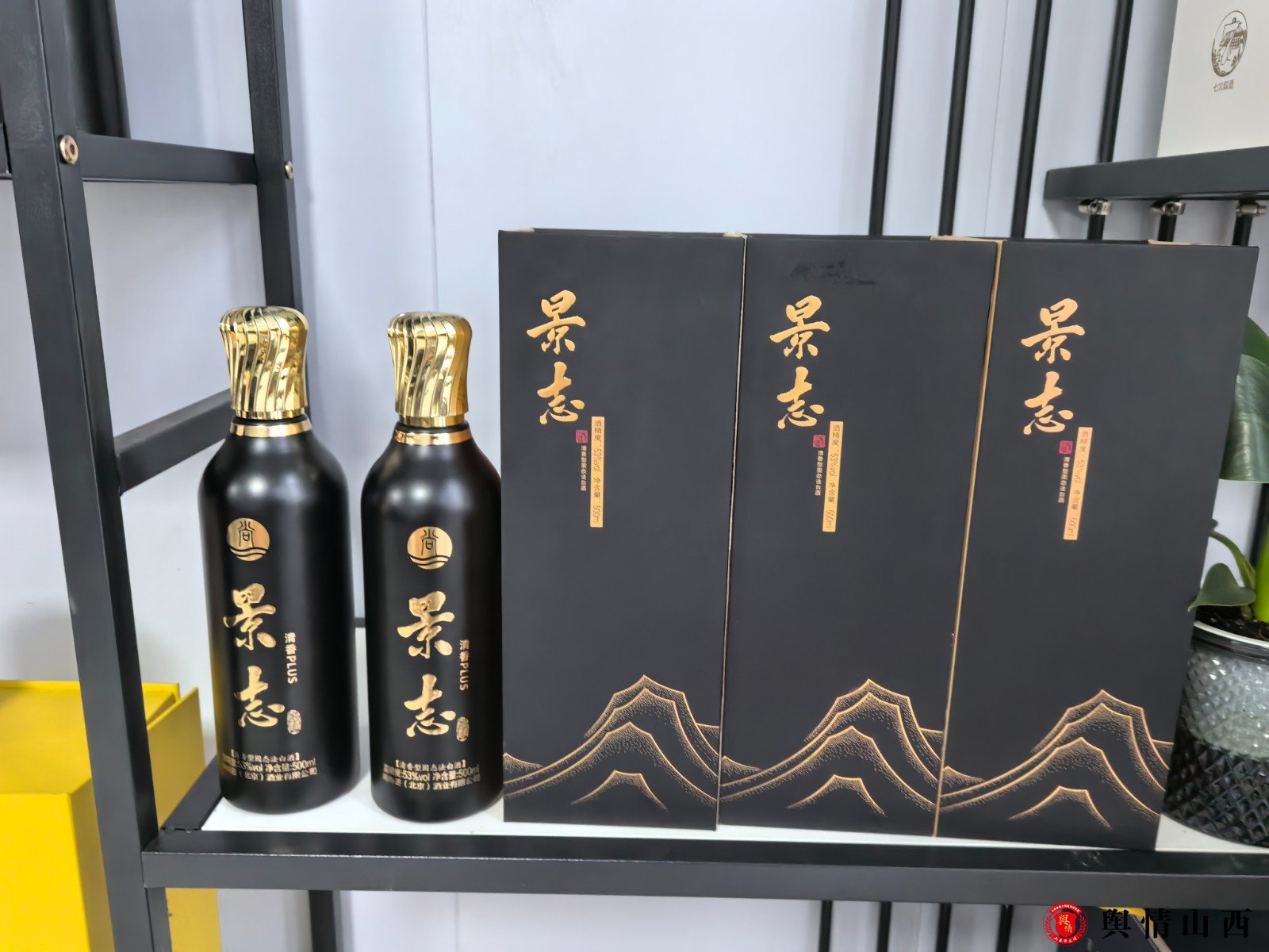微信图片_20250627102252.jpg