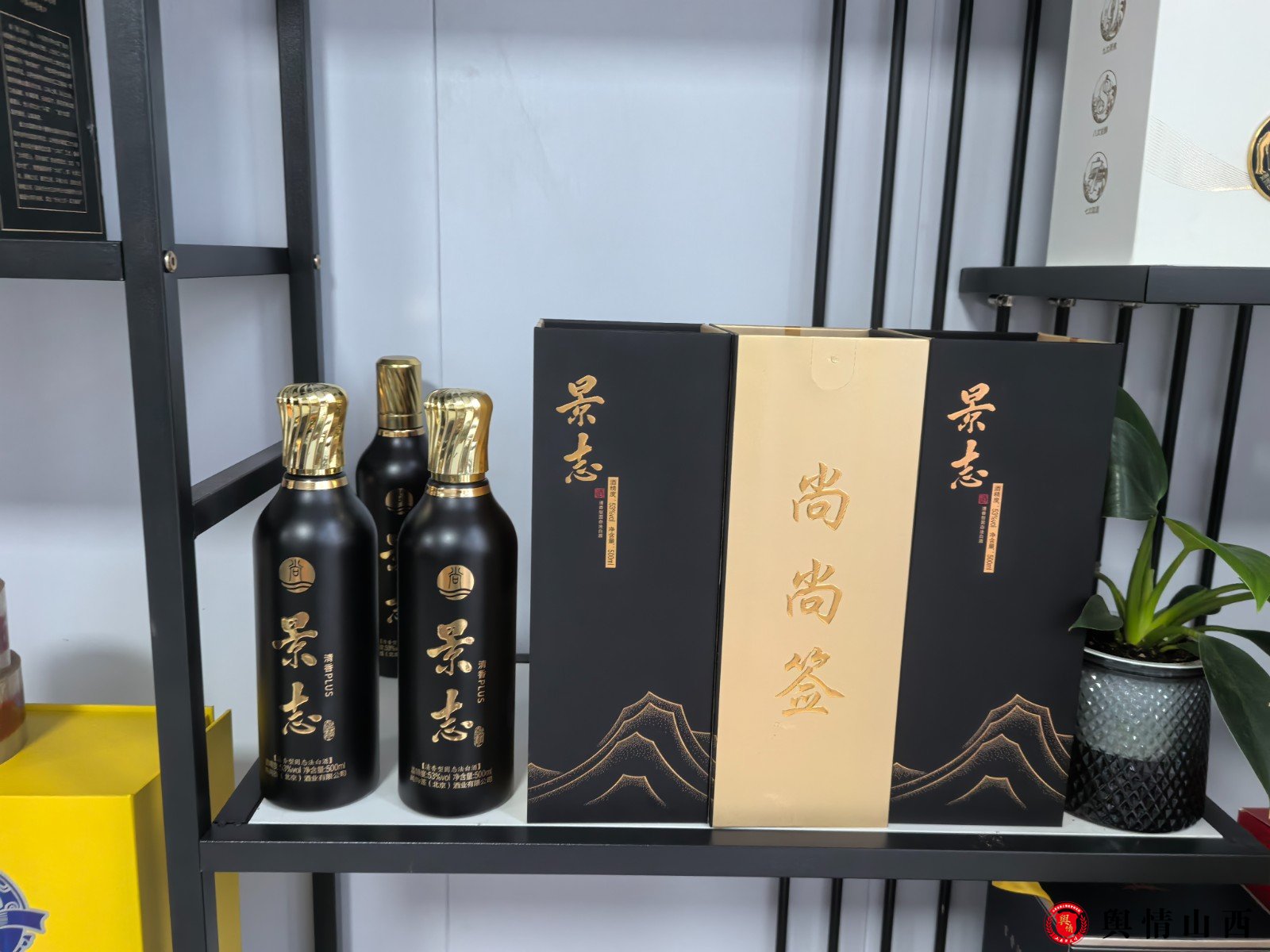 微信图片_20250627102259.jpg